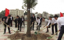 Phó Bí thư Thường trực Thành ủy Nguyễn Thị Nghĩa dự Tết trồng cây tại quận Hồng Bàng