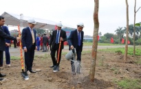 Quận Kiến An Phát động Tết trồng cây Xuân Kỷ Hợi 2019