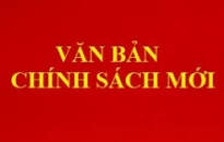 Văn bản – Chính sách