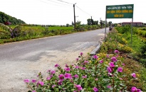 Hội Liên hiệp Phụ nữ huyện Tiên Lãng: Triển khai trồng 26 tuyến đường hoa