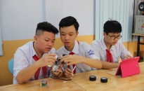 Huyện Tiên Lãng:  Duy trì 21 năm liên tiếp có học sinh giỏi Quốc gia 