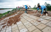 Huyện Tiên Lãng: Hoàn thành 5 công trình tu bổ đê điều thường xuyên năm 2018