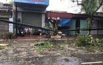 Quận Đồ Sơn: Khẩn trương khắc phục hậu quả cơn bão số 2