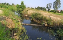 Huyện An Dương:  Bàn giải pháp khắc phục ruộng bỏ hoang 