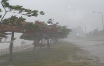 Huyện An Dương:  Huy động 3.230 người chống bão số 3 