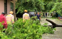 Công an quận Hồng Bàng phối hợp với các lực lượng khắc phục nhanh hậu quả cơn bão số 3