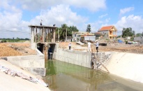 Cơ bản hoàn thành sửa chữa cống Bích Động