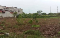 Thị trấn Tiên Lãng (Tiên Lãng):  Xử phạt 4 hộ dân tự ý chuyển san lấp đất nông nghiệp khi chưa được phép 