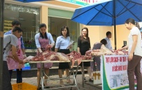 Mở 19 quầy kinh doanh thịt lợn an toàn