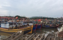 Quận Đồ Sơn:  Hỗ trợ trên 173 triệu đồng kinh phí mua bảo hiểm thân tàu theo nghị quyết số 49/NQ-HĐND
