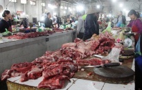 Người tiêu dùng “than trời” vì giá lợn thịt