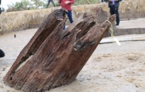 Khảo sát bãi cọc Bạch Đằng nghìn năm tuổi tại cánh đồng Cao Quỳ (xã Liên Khê, huyện Thủy Nguyên) vừa phát lộ
