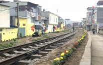 Quận Lê Chân: Trồng hàng nghìn cây hoa cảnh làm đẹp tuyến đường sắt