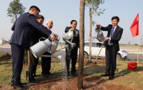 Bí thư Thành ủy Lê Văn Thành tham gia tết trồng cây Xuân Canh Tý 2020