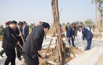 Chủ tịch UBND TP trồng cây tại Khu di tích Quốc gia đặc biệt Đền thờ Trạng Trình Nguyễn Bỉnh Khiêm 