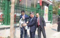 Phó Chủ tịch Thường trực UBND thành phố Nguyễn Xuân Bình dự Lễ phát động Tết trồng cây tại huyện An Dương