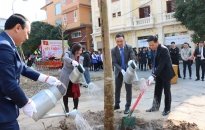 Trưởng ban Tuyên giáo Thành uỷ Đào Khánh Hà tham gia Tết trồng cây tại quận Ngô Quyền 