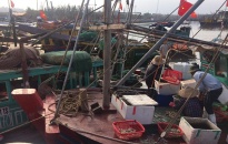 Kế hoạch kiểm tra liên ngành chống khai thác hải sản bất hợp pháp