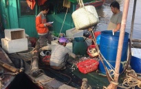 Thành lập đoàn công tác liên ngành kiểm tra việc chấp hành các quy định pháp luật trong hoạt động chống khai thác hải sản bất hợp pháp