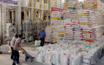 Xuất khẩu gạo – điểm sáng bức tranh xuất khẩu những tháng đầu năm