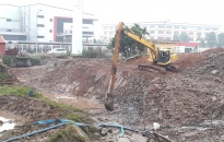 Huyện An Dương: Cắt đê Tả Lạch Tray phục vụ thi công xây mới cống Hoàng Lâu