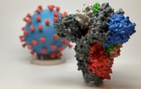 Các nhà khoa học Australia chụp ảnh 3D virus SARS-COV-2