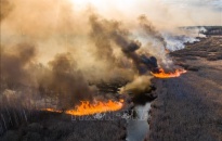 Ukraine chưa thể khống chế cháy rừng gần nhà máy điện hạt nhân Chernobyl