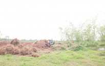 Xã An Hòa (Vĩnh Bảo): Hàng nghìn mét vuông đất ven sông bị chuyển đổi sai mục đích 