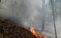 Huy động hơn 30 cán bộ tham gia dập lửa chữa cháy rừng