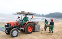 Quận Đồ Sơn: Bảo đảm môi trường sạch, đẹp phục vụ khách du lịch