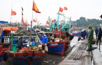 Quận Đồ Sơn:  Tăng cường sản xuất thủy sản đảm bảo cung ứng nguồn thực phẩm
