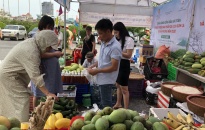 Lần đầu tiên tổ chức Tuần hàng nông sản an toàn và giới thiệu sản phẩm du lịch Sơn La tại Hải Phòng 