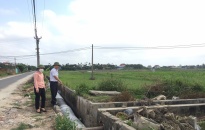 Gần 200 ha đất nông nghiệp tại xã Tân Tiến (An Dương) nguy cơ hạn hán 