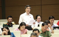 Đại biểu Bùi Thanh Tùng: Phát huy nội lực doanh nghiệp trong nước để khôi phục kinh tế