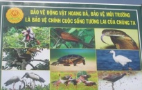 Tuyên truyền pháp luật về quản lý, bảo vệ động vật doang dã trên địa bàn huyện Cát Hải
