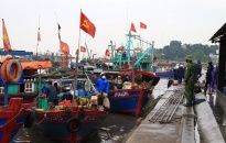 Quận Đồ Sơn:  Kiên quyết xử lý nghiêm các hành vi sử dụng te điện, giã điện, ngư lưới cụ bị cấm để khai thác hải sản