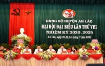 Đảng bộ huyện An Lão tiến hành Đại hội lần thứ VIII