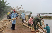 Huyện Cát Hải chủ động phòng, chống bão số 2