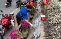 Đoàn phường Thượng Lý (Hồng Bàng): Chung tay ứng phó với biến đổi khí hậu