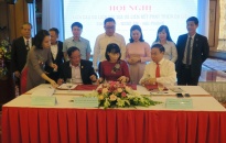 Liên kết phát triển du lịch Bình Định – Nghệ An – Hải Phòng: Thúc đẩy kết nối du lịch giữa các vùng miền lên một bước phát triển mới