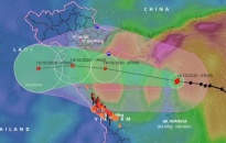 Huyện Cát Hải: Họp triển khai các biện pháp phòng chống bão số 7