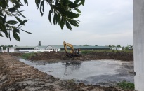 Khắc phục xong tình trạng ô nhiễm gây ra từ các trang trại tại xã Dũng Tiến (Vĩnh Bảo) 