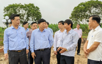 Đẩy nhanh tiến độ thi công các hạng mục, công trình xã nông thôn mới kiểu mẫu trên địa bàn 2 huyện Tiên Lãng, An Dương