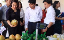 Khai mạc phiên chợ đưa hàng Việt về hải đảo huyện Cát Hải năm 2020