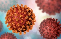 Trung Quốc tiếp tục phát hiện virus SARS-CoV-2 trên bao bì nhập khẩu