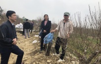 Ngân hàng chính sách xã hội Hải Phòng: Khẩn trương cho vay hỗ trợ nông dân đẩy mạnh sản xuất