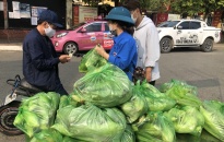 Đoàn Thanh niên phường Thượng Lý (Hồng Bàng): Hỗ trợ tiêu thụ 4.000 bắp ngô cho nông dân huyện Tiên Lãng