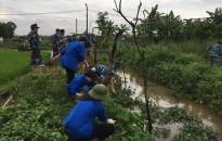Tuổi trẻ quận Kiến An: Tích cực chung tay xây dựng nông thôn mới