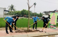 Liên đoàn lao động thành phố trồng cây 'Xây dựng nông thôn mới kiểu mẫu'