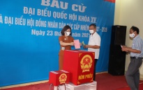 Người dân quận Đồ Sơn hân hoan đi bầu cử